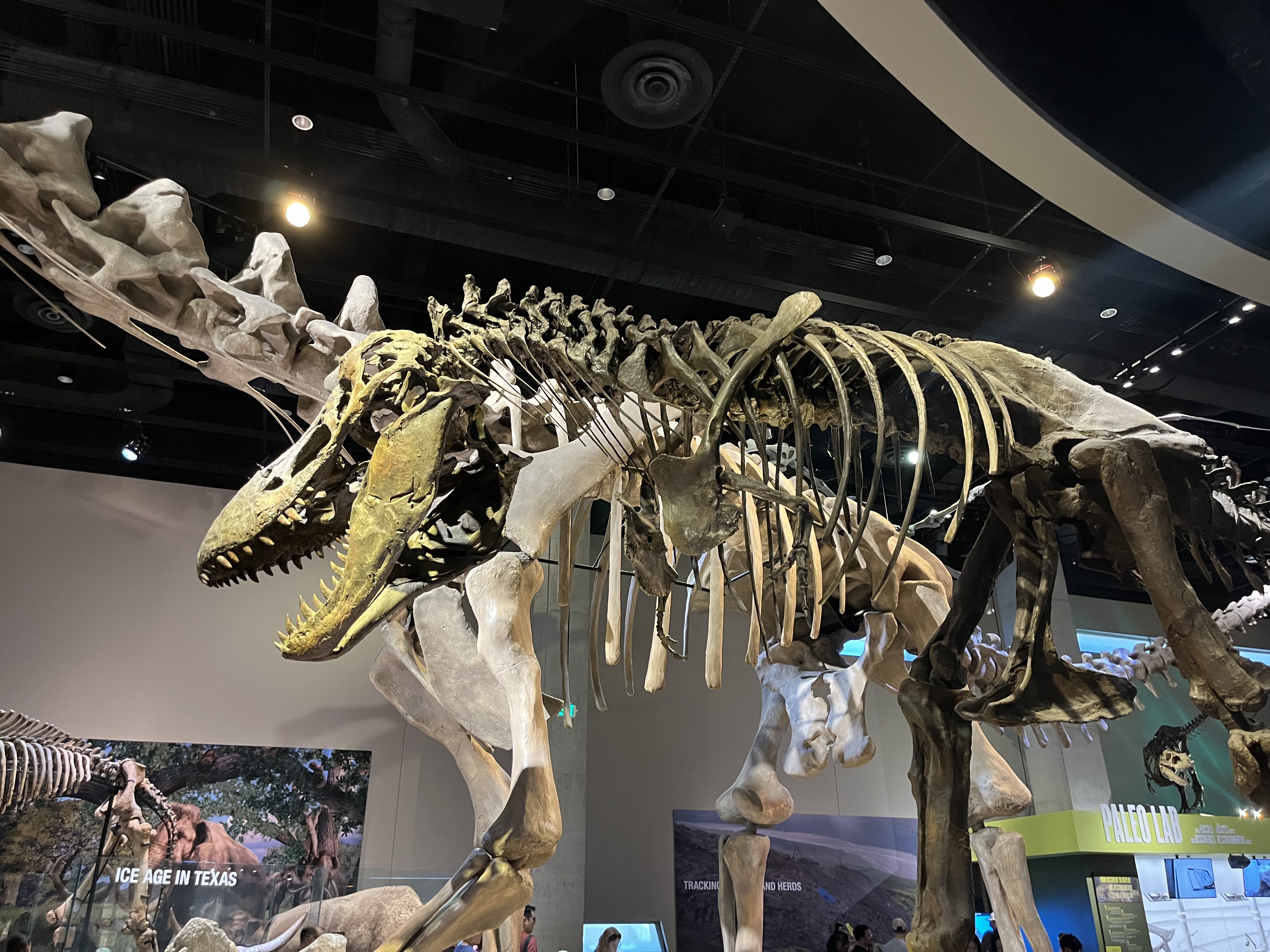 Perot Museum of Nature and Science, Dallas