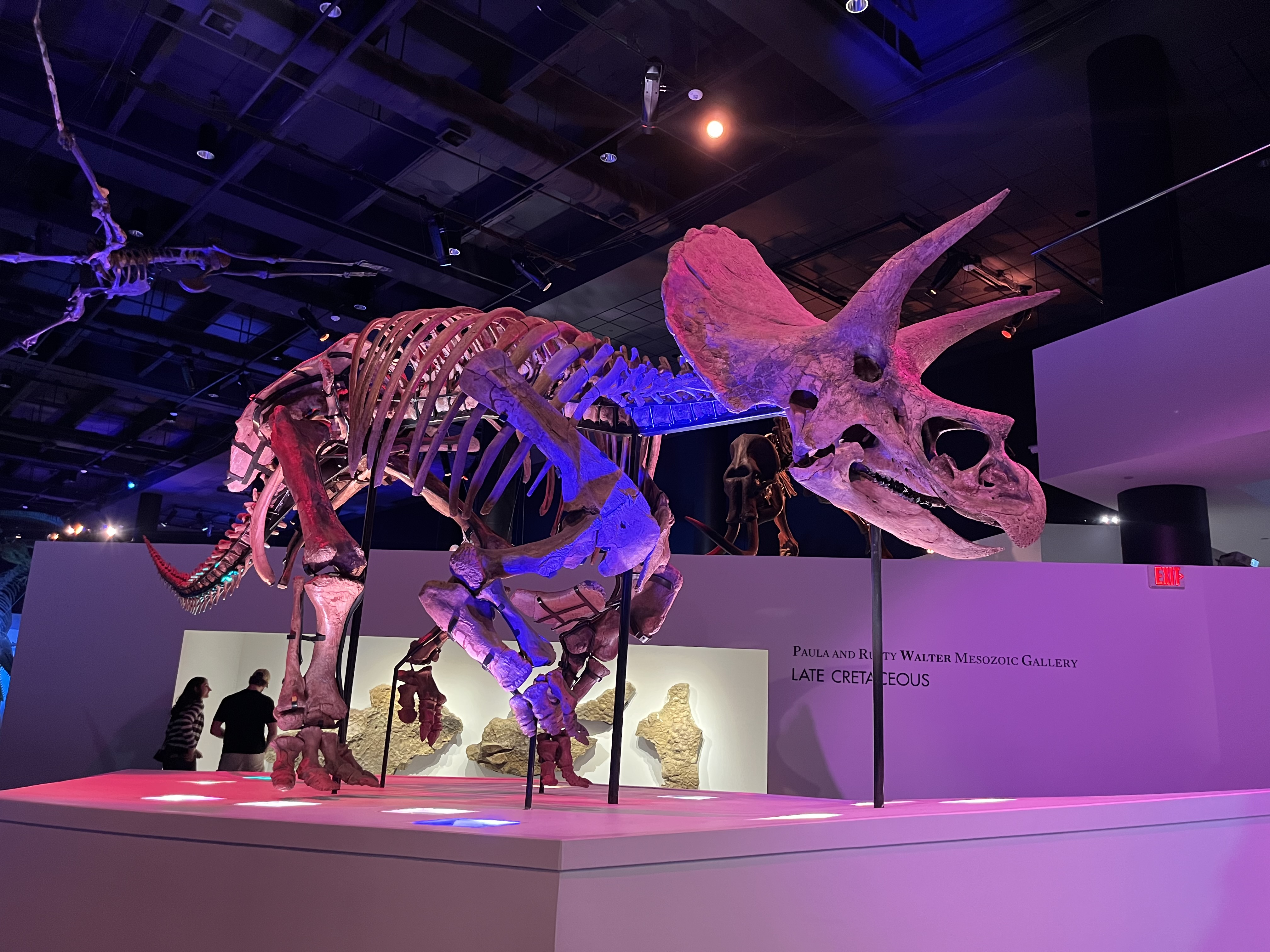 Houston Museum of Natural Science